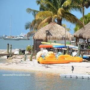 Meet your Posher, Jaye